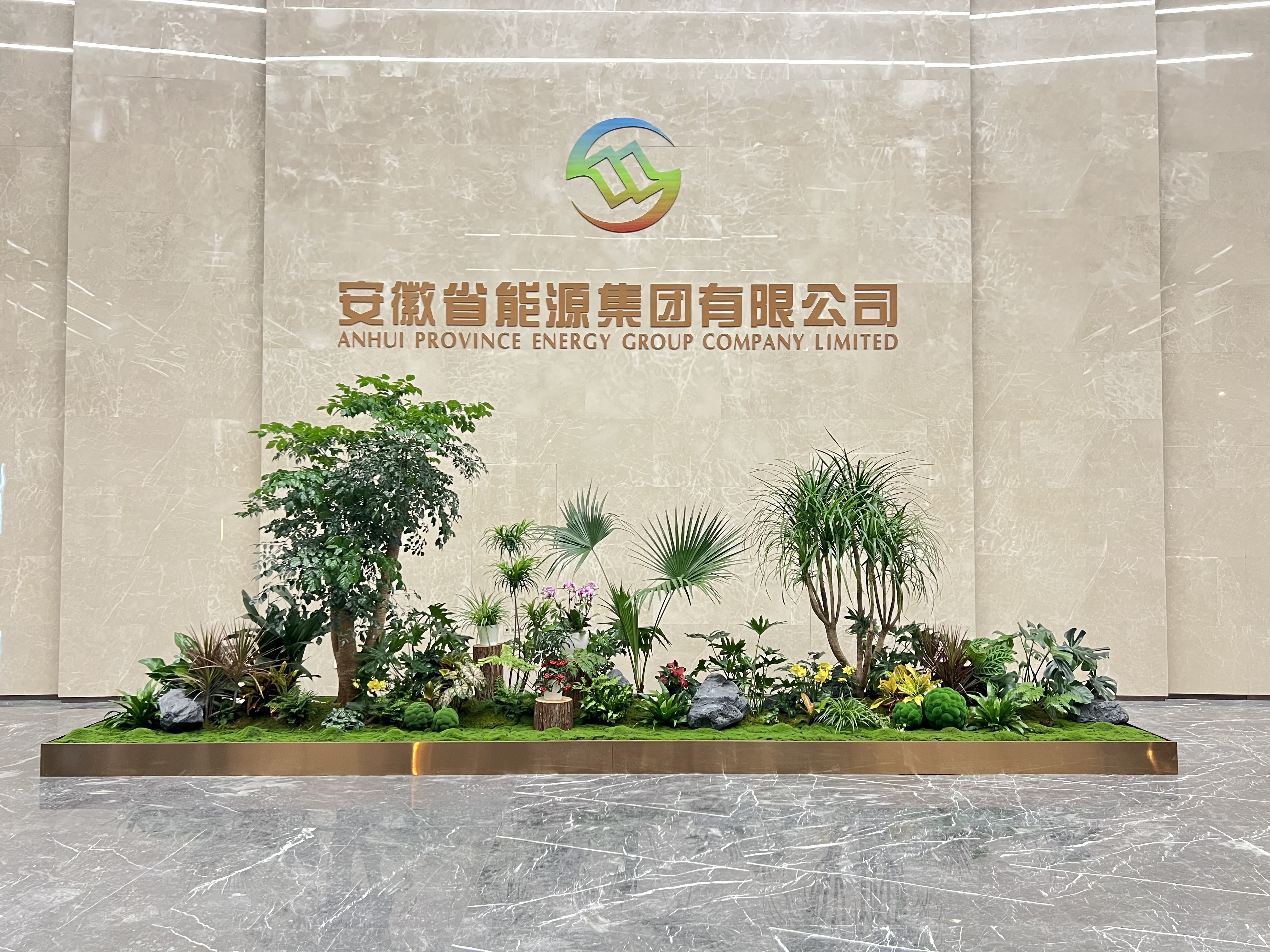 专业的前湾盆景租赁，让空间瞬间变优雅